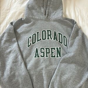 Gray Oversized Brandy Melville Colorado Aspen Hoodie